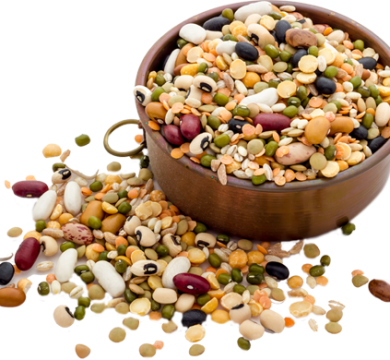 Pulses-Seed